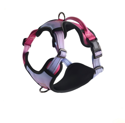 gradient color oxford dog harness