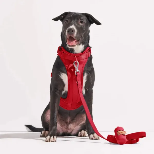 red dog harness leash Luxury Custom Logo Dog Vest Adjustable Dog Harness For Small Dog Medium Large Dog