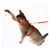 Wholesale Pet Supplies Fashion Woven Pet Cat Harness Leash Set
