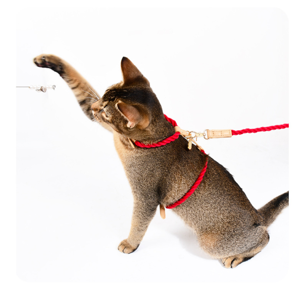 Wholesale Pet Supplies Fashion Woven Pet Cat Harness Leash Set