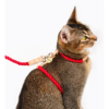 Wholesale Pet Supplies Fashion Woven Pet Cat Harness Leash Set
