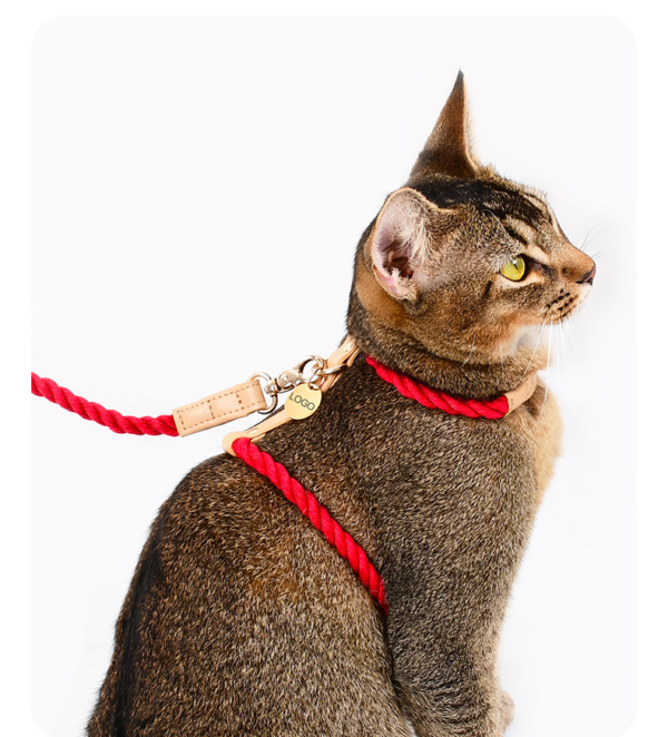 Wholesale Pet Supplies Fashion Woven Pet Cat Harness Leash Set