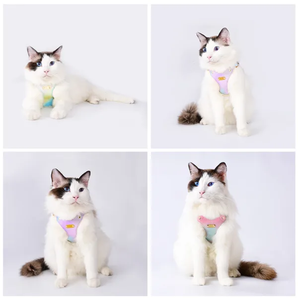 cat harness 2 Soft Leather Pet Cat Harness Leash Set Waterproof Cat Harness