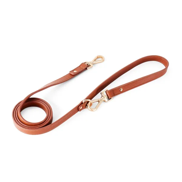 dog leash Luxury Leather Dog Harness Leash Set For Dog Walking