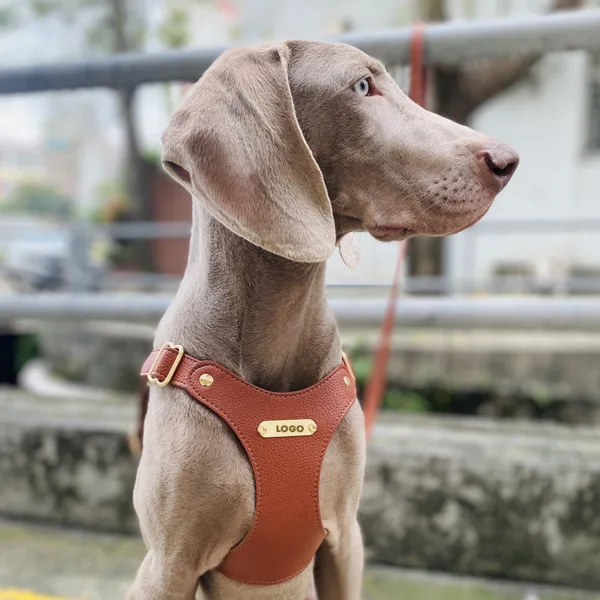 leather dog harness Luxury Leather Dog Harness Leash Set For Dog Walking