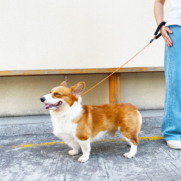 1735112581824 Anti-Pull Steel Wire Pet Leash – Unbreakable & Tangle-Proof for Strong Dogs