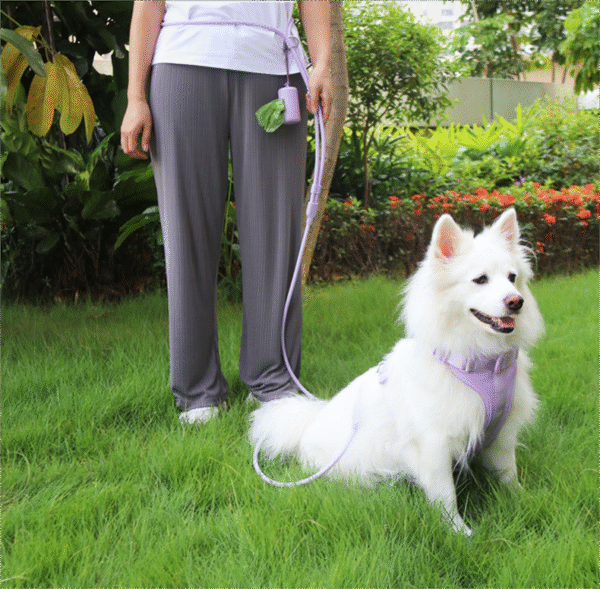 1735133779039(1)(1) Dopamine Color Series PVC Waterproof Pet Leash – Strong, Comfortable & Stylish