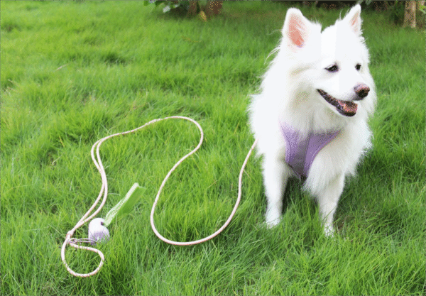 1735133960418(1)(1)(1) Dopamine Color Series PVC Waterproof Pet Leash – Strong, Comfortable & Stylish