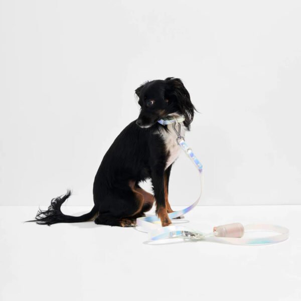 2 PVC Waterproof & Color-Shifting Pet Leash & Collar Set – Durable, Stylish & Comfortable