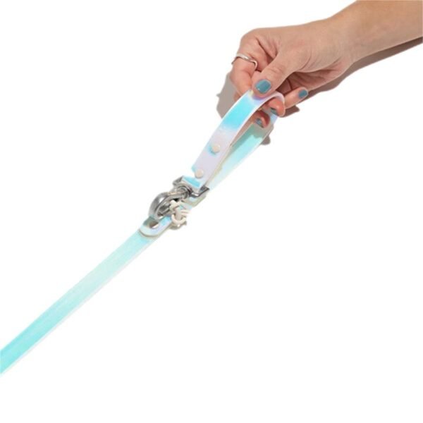 4 PVC Waterproof & Color-Shifting Pet Leash & Collar Set – Durable, Stylish & Comfortable