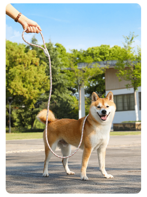 1734591840094 Heavy-Duty Anti-Pull Adjustable P-Rope Pet Dog Leash – Ultimate Control & Comfort