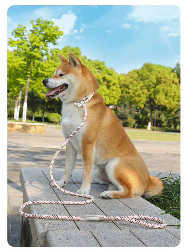 1734591853821 Heavy-Duty Anti-Pull Adjustable P-Rope Pet Dog Leash – Ultimate Control & Comfort