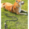 1734591876841 Heavy-Duty Anti-Pull Adjustable P-Rope Pet Dog Leash – Ultimate Control & Comfort