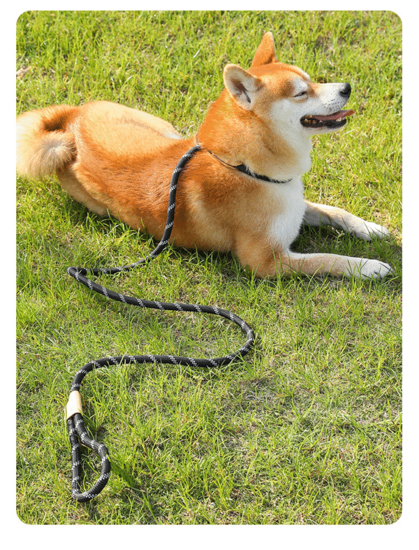 1734591876841 Heavy-Duty Anti-Pull Adjustable P-Rope Pet Dog Leash – Ultimate Control & Comfort