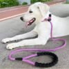 1735178906454 All-in-One Adjustable Anti-Pull P Rope Dog Leash – Premium Control & Comfort