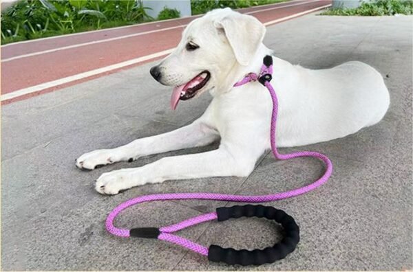 1735178906454 All-in-One Adjustable Anti-Pull P Rope Dog Leash – Premium Control & Comfort