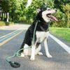 1735178929291 All-in-One Adjustable Anti-Pull P Rope Dog Leash – Premium Control & Comfort