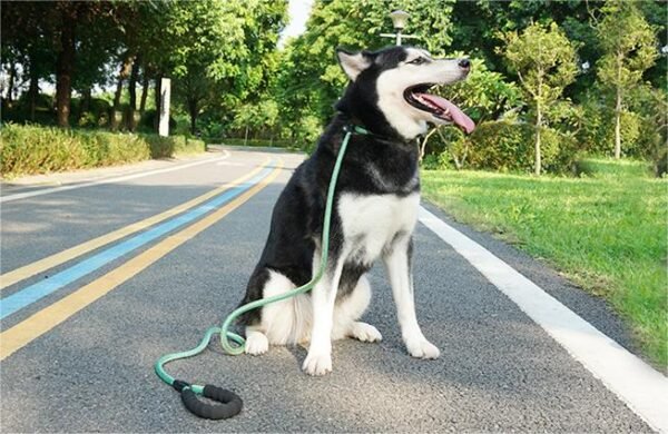 1735178929291 All-in-One Adjustable Anti-Pull P Rope Dog Leash – Premium Control & Comfort
