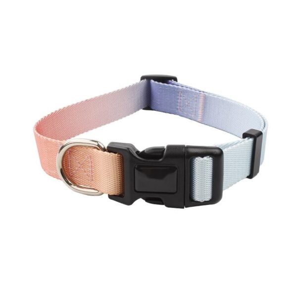 dog collar 11 Adjustable Gradient Color Nylon Dog Collar – Secure, Stylish & Customizable