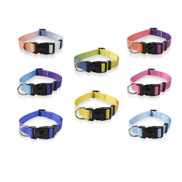 dog collar 12 Adjustable Gradient Color Nylon Dog Collar – Secure, Stylish & Customizable