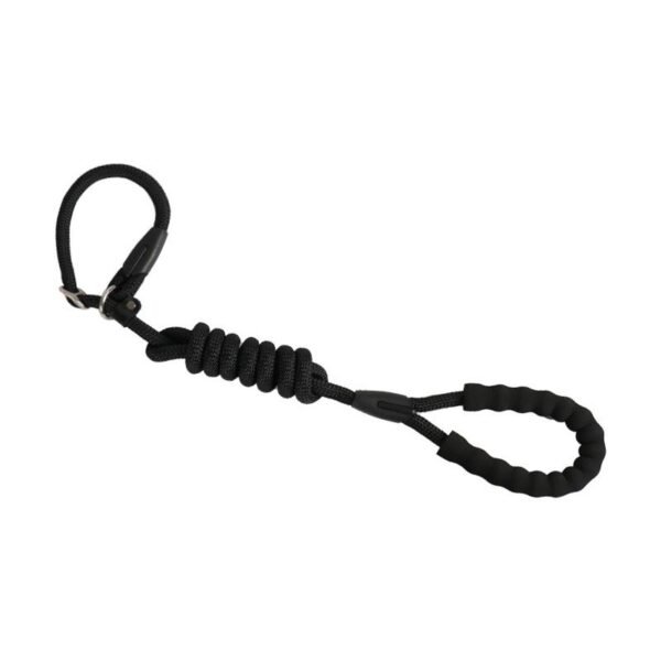 dog leash 2 All-in-One Adjustable Anti-Pull P Rope Dog Leash – Premium Control & Comfort