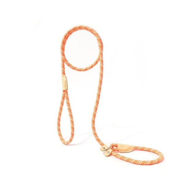 dog leash 3 Heavy-Duty Anti-Pull Adjustable P-Rope Pet Dog Leash – Ultimate Control & Comfort