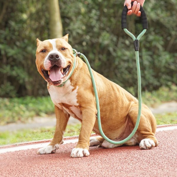 dog leash All-in-One Adjustable Anti-Pull P Rope Dog Leash – Premium Control & Comfort