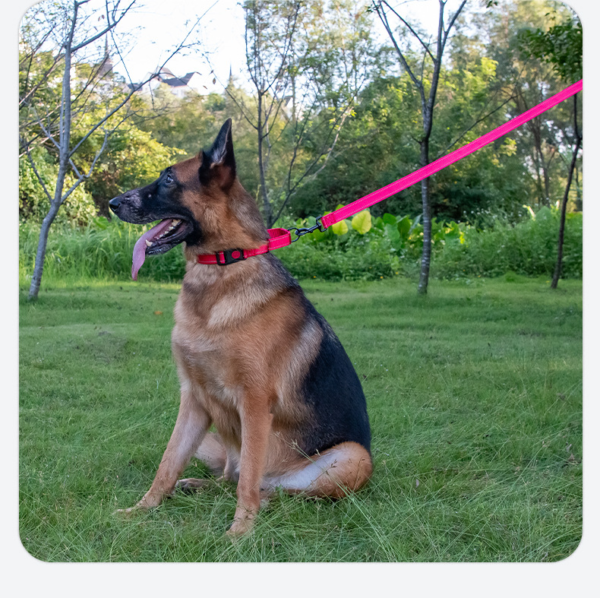 Leka Pet Dog Leash Reflective, Soft Handle Nylon Heavy Duty Leashes For Medium Large Dog