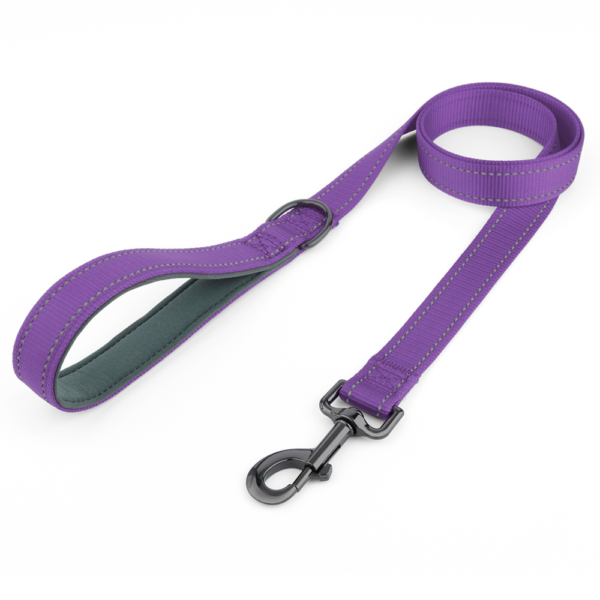Leka Pet Dog Leash Reflective, Soft Handle Nylon Heavy Duty Leashes For Medium Large Dog