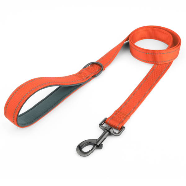 Leka Pet Dog Leash Reflective, Soft Handle Nylon Heavy Duty Leashes For Medium Large Dog