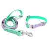 e7cffe0f-7b0d-4754-b041-2f5cf2fa41f0 All-Weather Durable PVC Dog Leash & Collar Set: Waterproof, Anti-Pull, Easy-Clean & Antibacterial