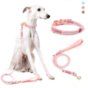 Waterproof PVC Hand-Braided Pet Leash & Collar 2-Piece Set fashionable Dog Collar
