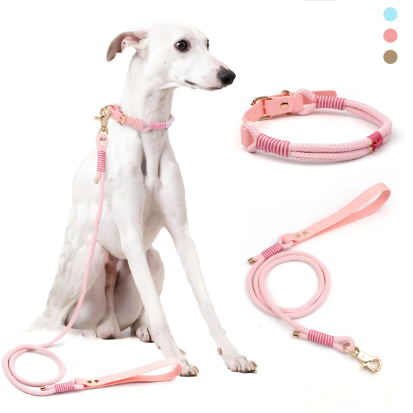 Waterproof PVC Hand-Braided Pet Leash & Collar 2-Piece Set fashionable Dog Collar